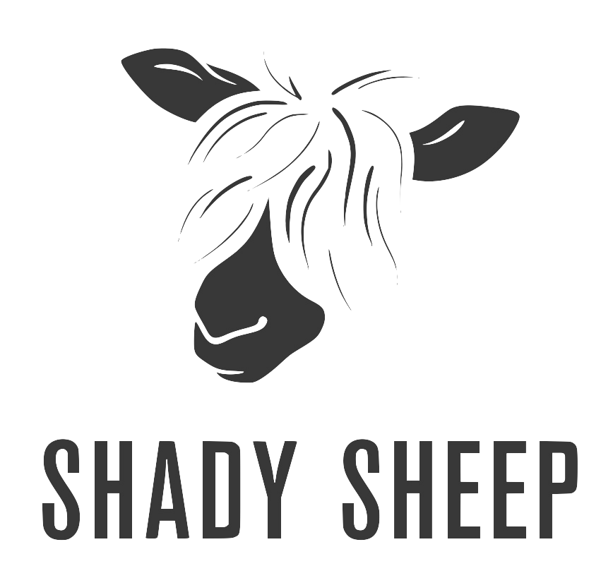 Shady Sheep
